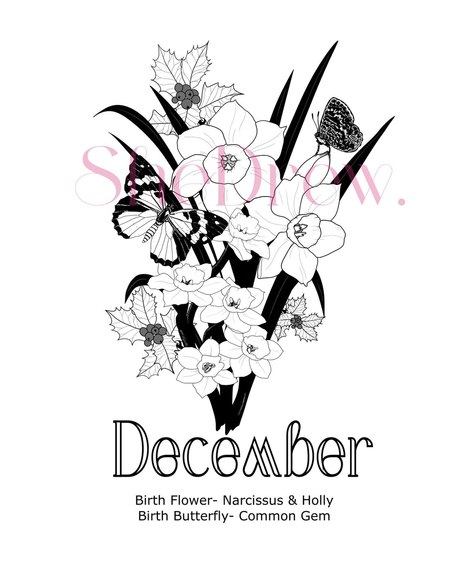 December Birth Month Flowers Butterfly SheDrew  december-birth-month-flowers-butterfly-shedrew