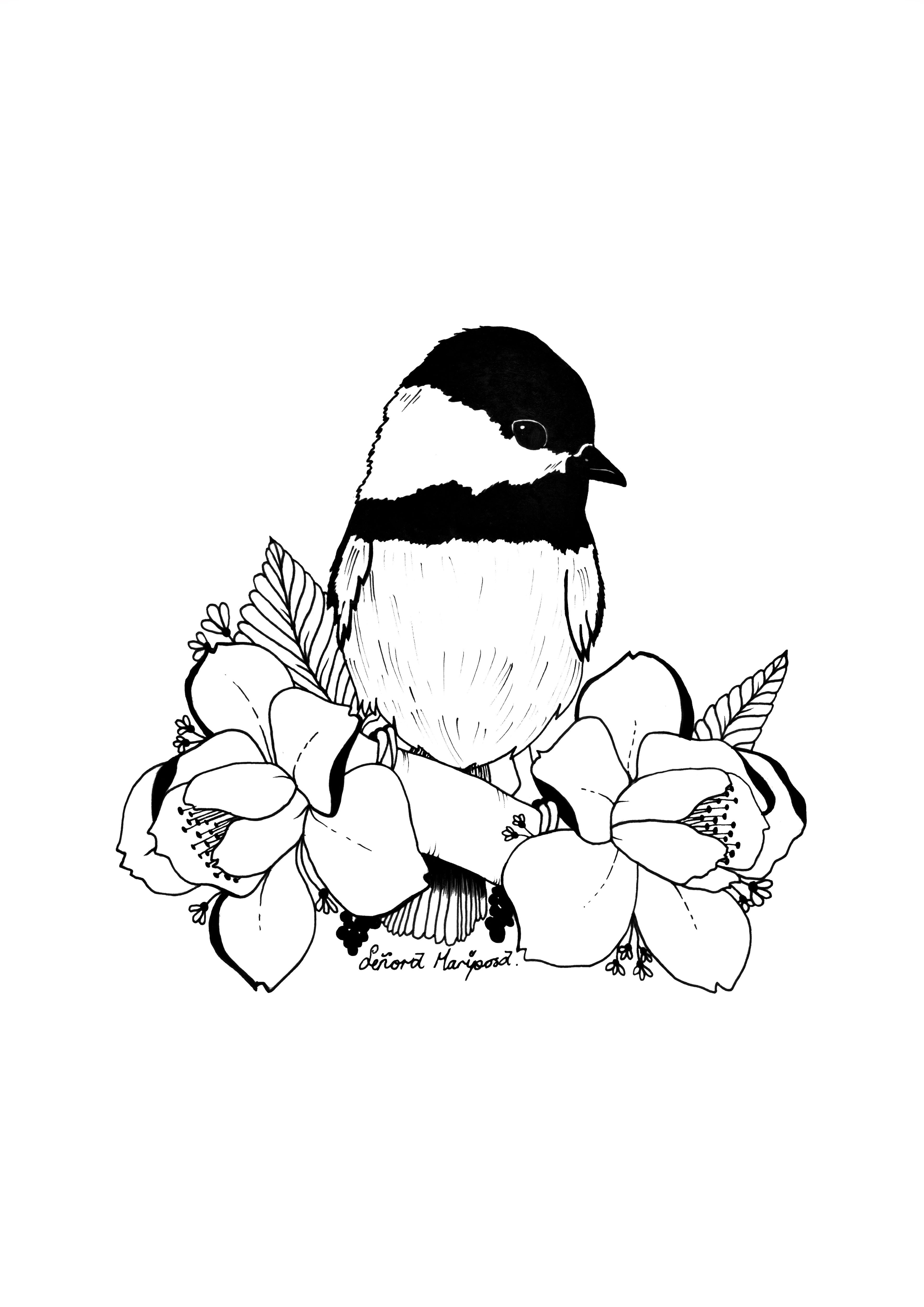 Little Bird