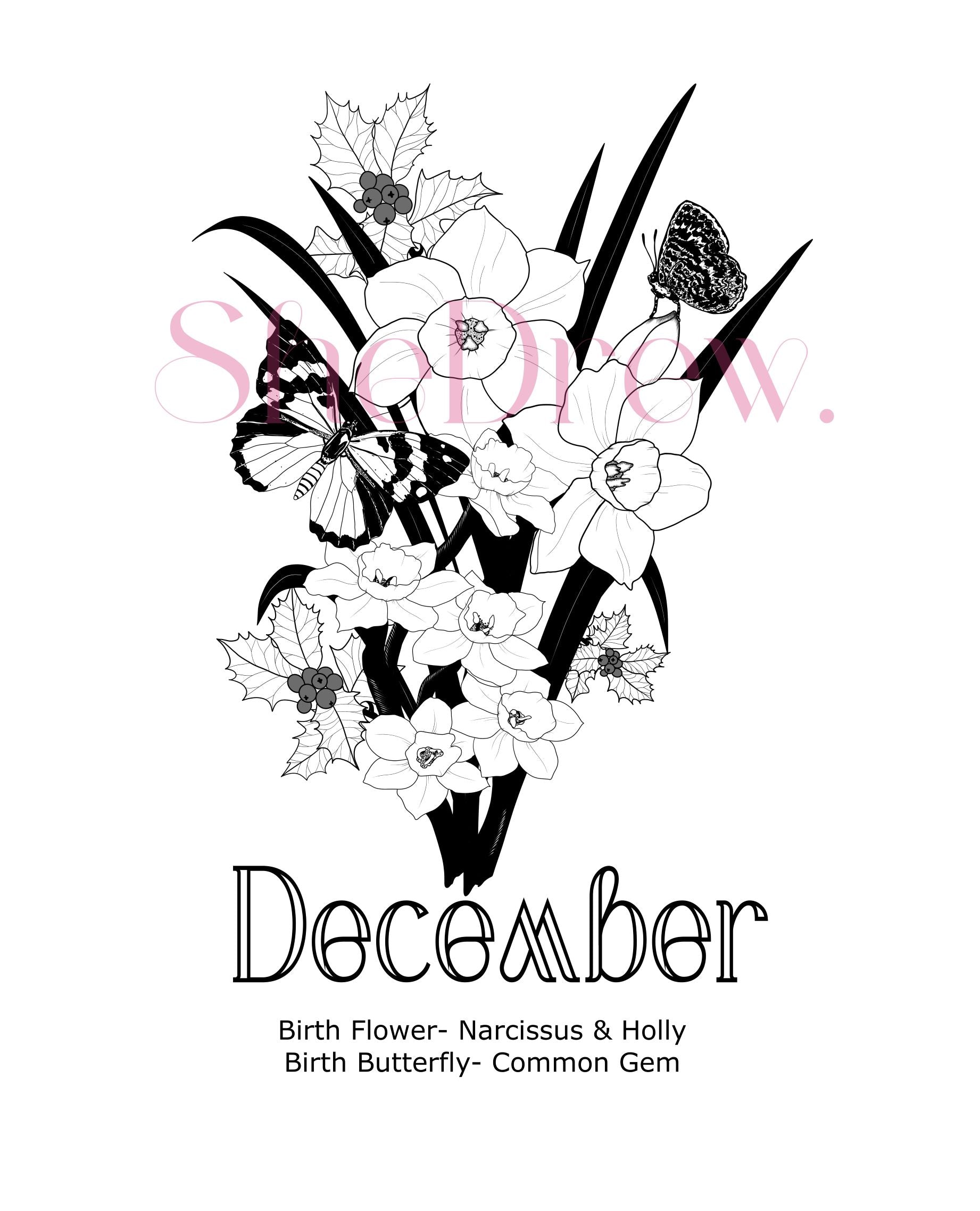 December Birth Month Flowers & Butterfly