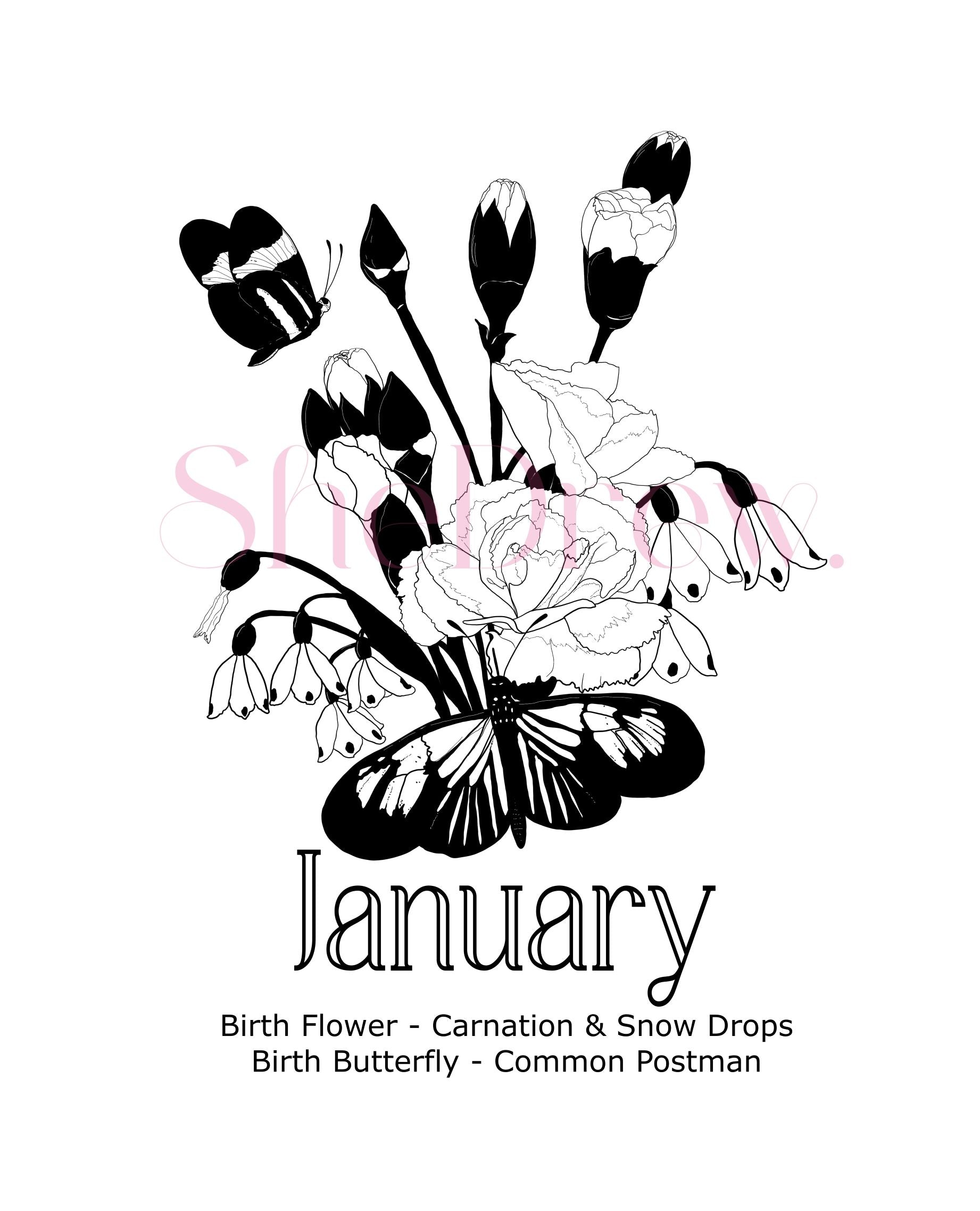 January Birth Month Flowers & Butterfly