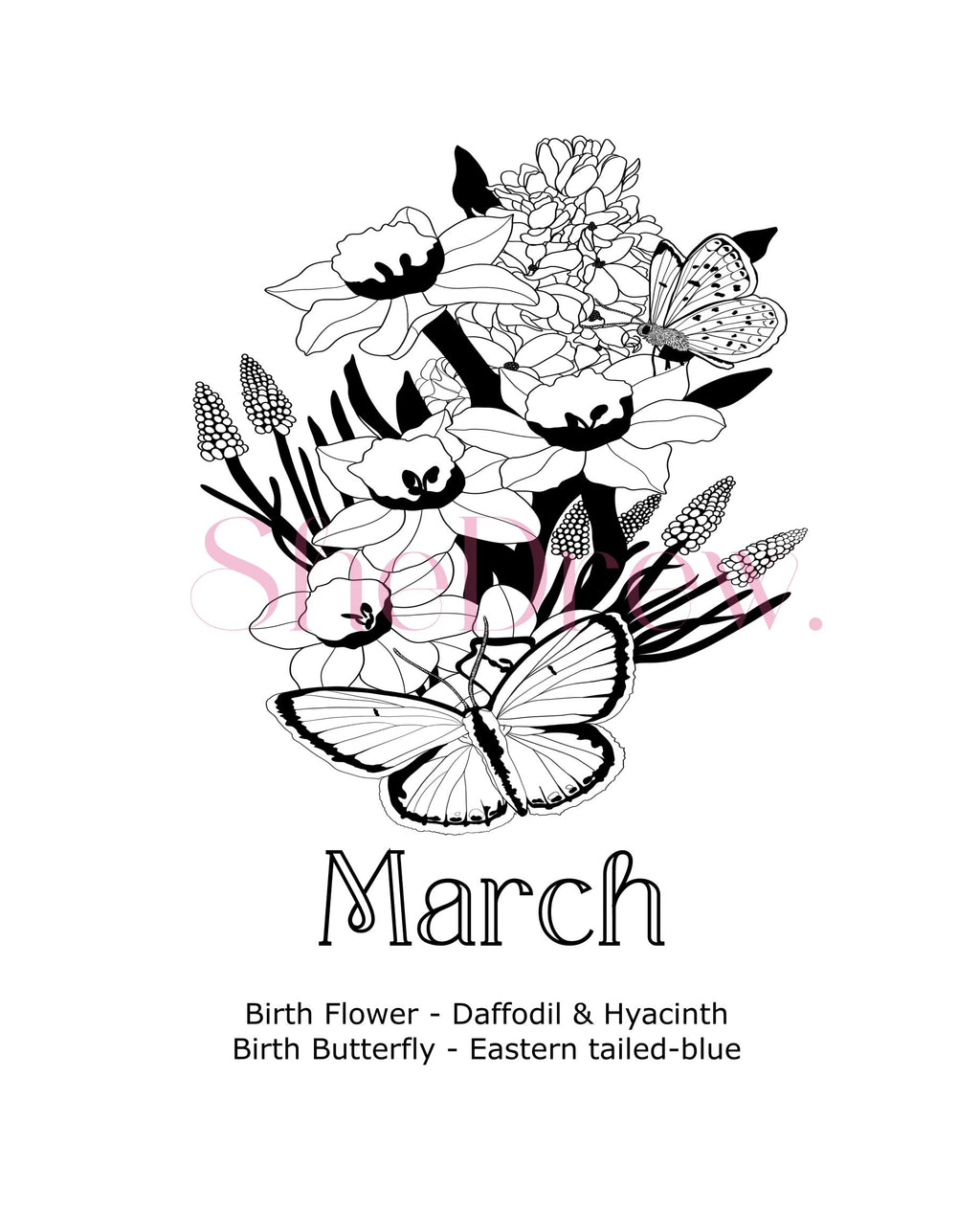 March Birth Month Flowers & Butterfly