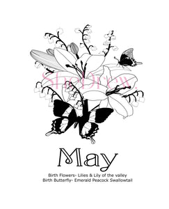 May Birth Month Flowers & Butterfly