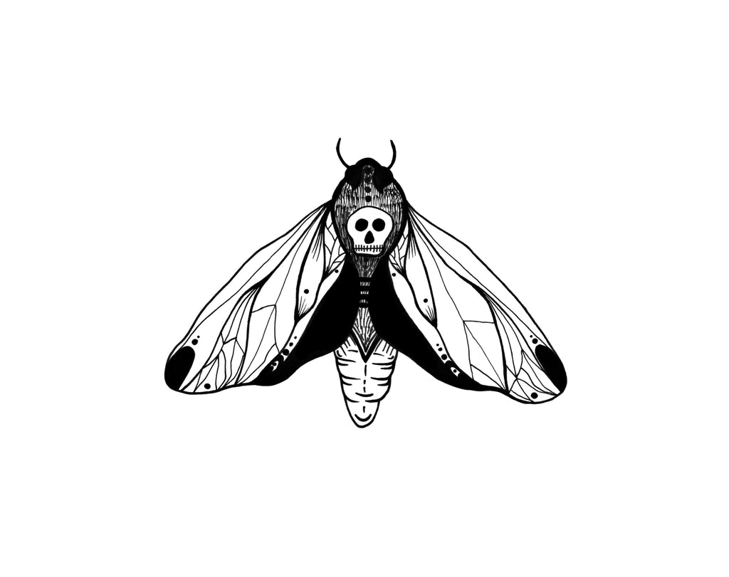 Moth Print