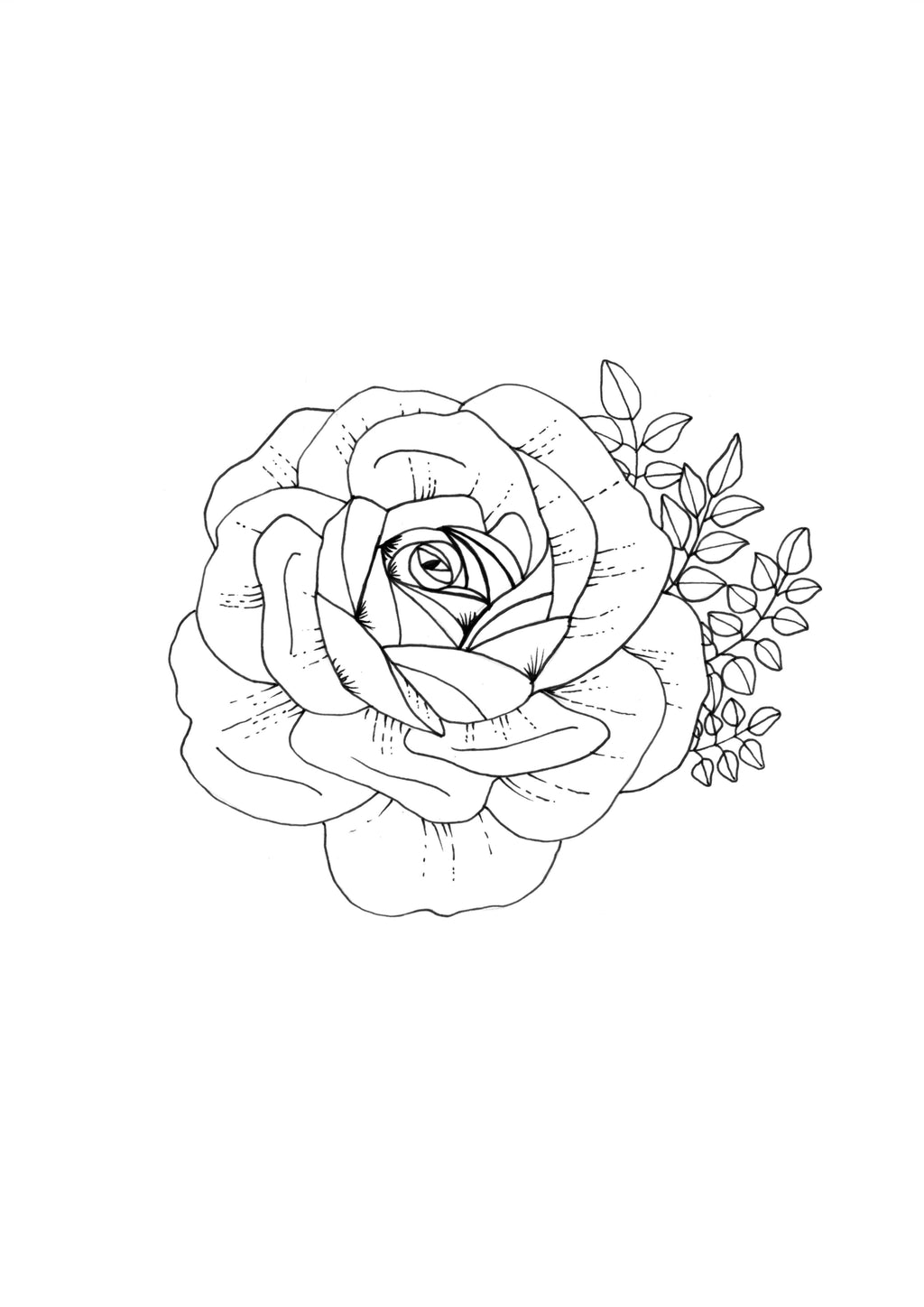 Open Rose